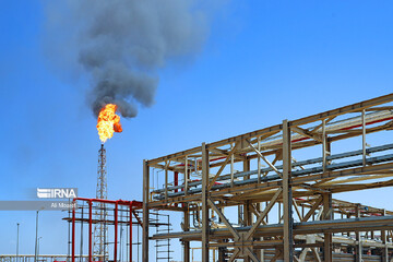 Flare gases