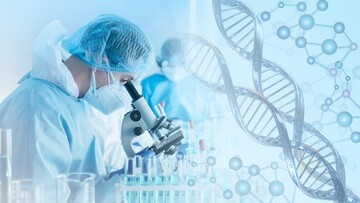 Iran ranks first in biotech among Islamic nations: SCImago