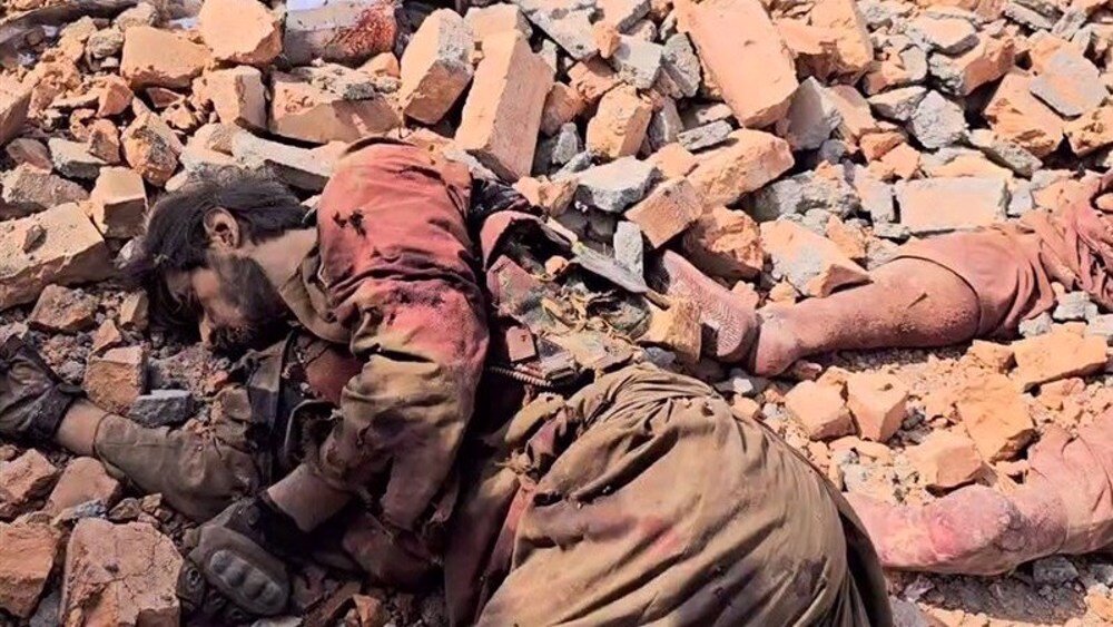 terrorist dead