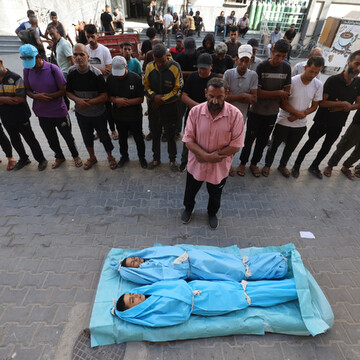 Gaza Casulties