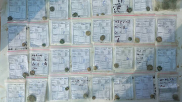 coins