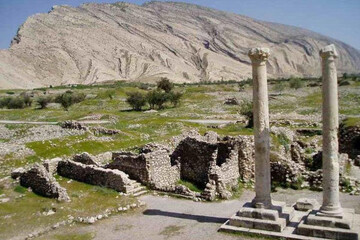 Iranian scholars link Bishapur palace motif to global symbols