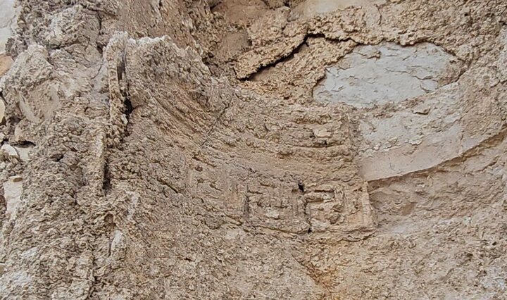 Iranian scholars link Bishapur palace motif to global symbols