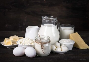 dairy