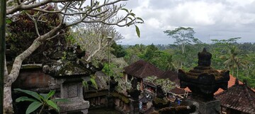 From rice terraces to waterfalls, Bali tour highlights nature and culture