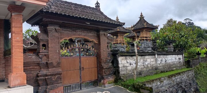 From rice terraces to waterfalls, Bali tour highlights nature and culture