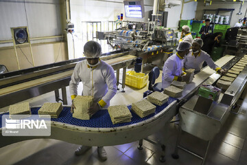 Industry Ministry unveils plan to boost SME exports through consortia, global market integration