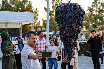 Urmia hosting grape festival