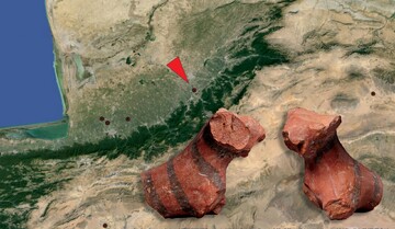 Met Museum’s tiny clay figurine reveals ancient origins of the mighty Hyrcanian tiger