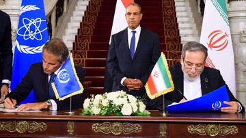 Iran will halt IAEA cooperation with ‘snapback’ in progress, SNSC confirms
