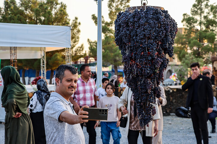 Urmia hosting grape festival