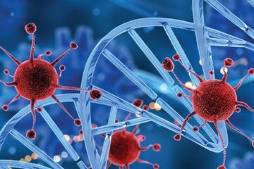 Intl. Congress on Cancer Prevention slated for October