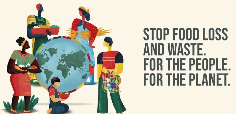 Reducing food loss, waste ensures food food-secure world