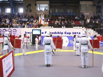 taekwondo