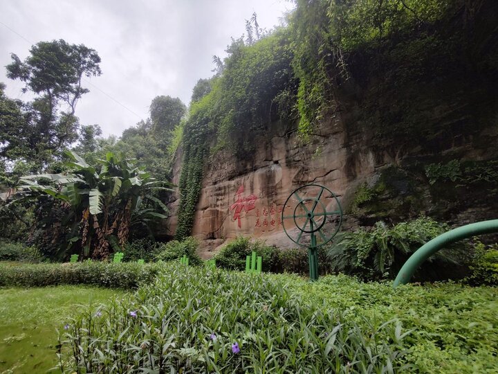 Bridges, blossoms, and beyond: discovering Yunnan and Chongqing