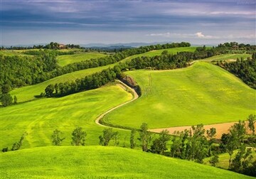 rangeland