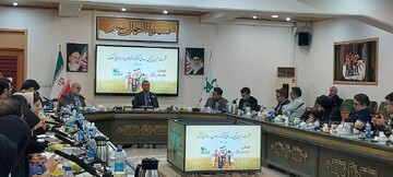 Hamed Alamati