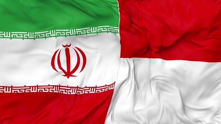 Indo Iran flags