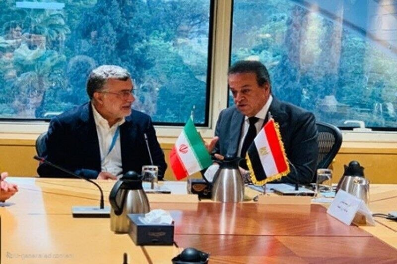 Minister urges WHO to protect health against sanctions