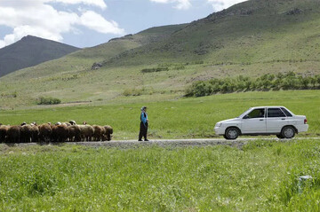 Iranian short film “The Plain Sings” wins at Albanian festival