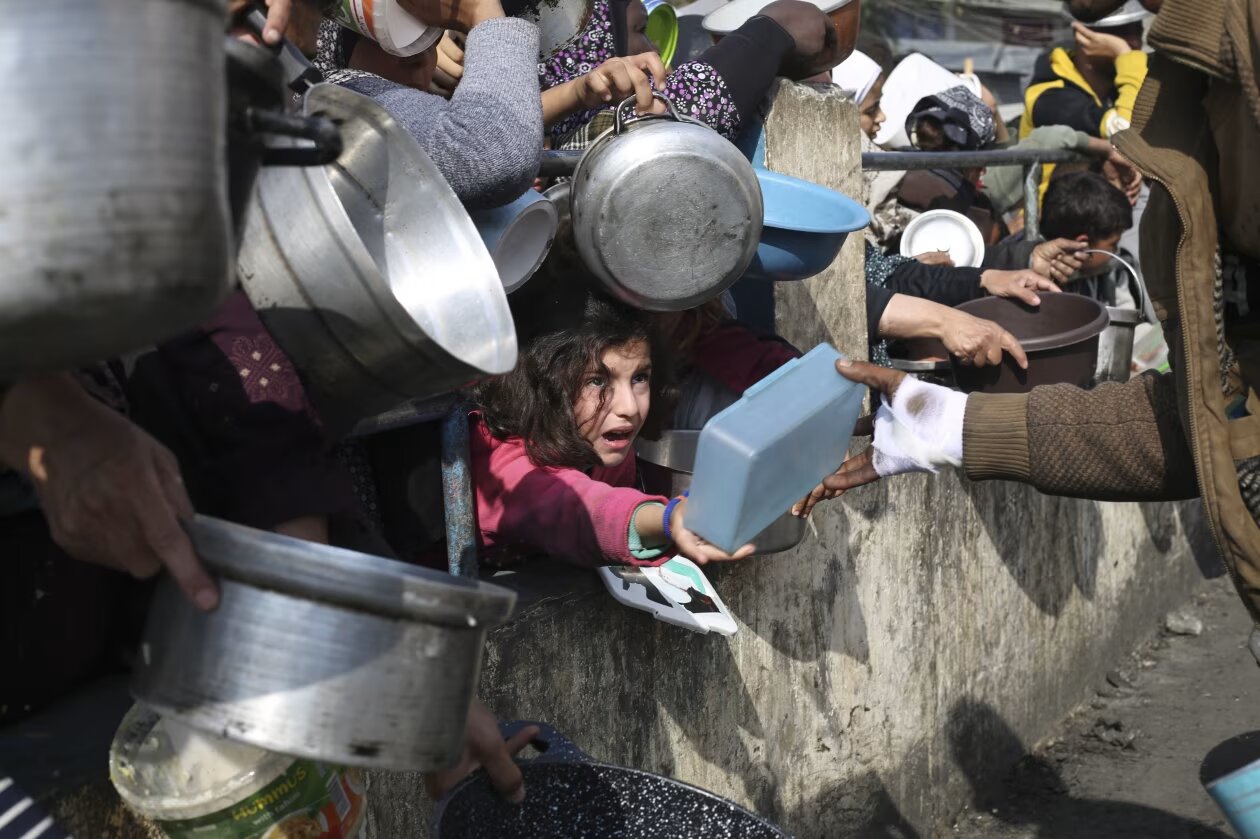 Gaza humanitarian crisis