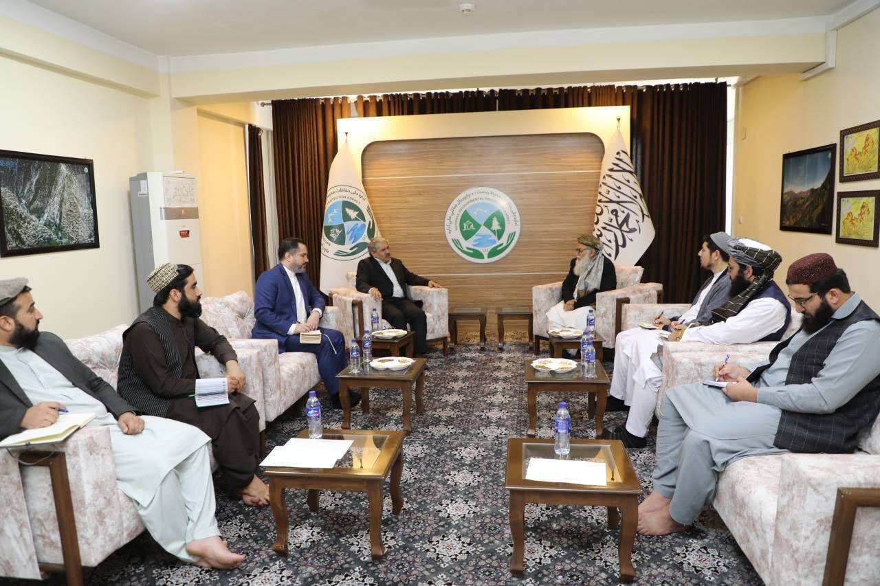 Tehran, Kabul discuss ways to enhance environmental co-op