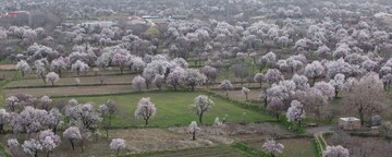 FAO awards GIAHS certificate to Qazvin's Baghestan