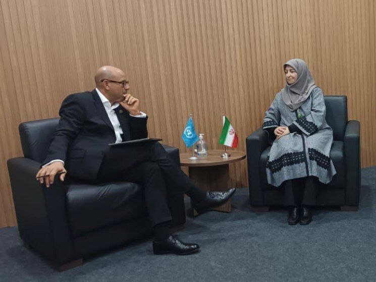 Despite sanctions, Iran has achieved remarkable progress in adapting to climate change: DOE chief