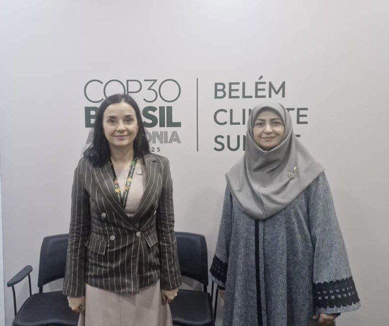 Despite sanctions, Iran has achieved remarkable progress in adapting to climate change: DOE chief