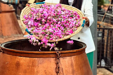 Iran to submit independent UNESCO nomination for traditional rosewater distillation