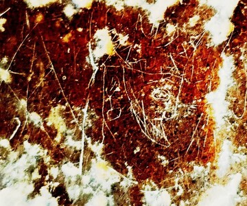 Needle-carved image linked to Sasanian king found in Southern Iran