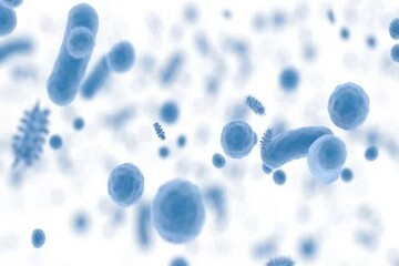 Antimicrobial Resistance week being marked