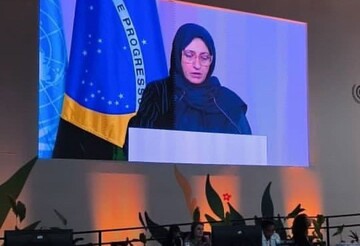 COP30: Iran says climate action impossible without financing