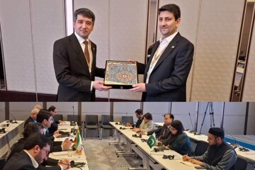 Iran discusses expanding ties with Tajikistan, Pakistan in ICT sector