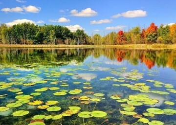 DOE announces new phase of wetlands conservation project