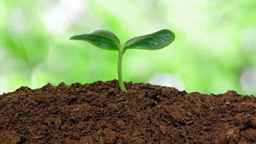 World Soil Day an opportunity to rethink how we interact with earth