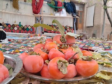 Nahavand holds first persimmon harvesting festival