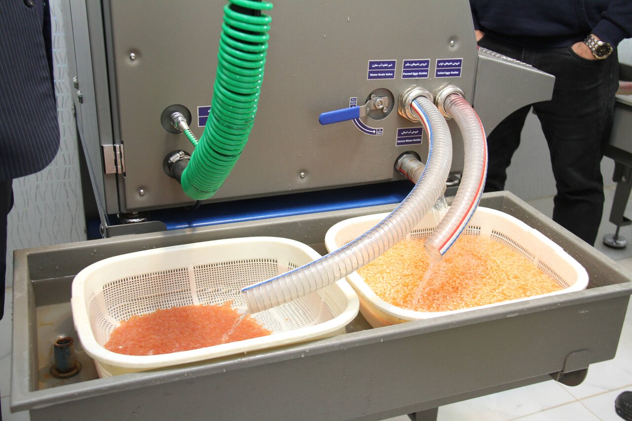 FAO explores areas of collaboration on fisheries and aquaculture in Isfahan