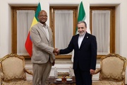 Ethiopian parliament speaker says expanding bilateral ties with Iran a ‘priority’