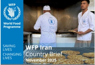 WFP releases November report on Iran