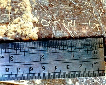 Sassanid-era inscription referring to royal festival discovered