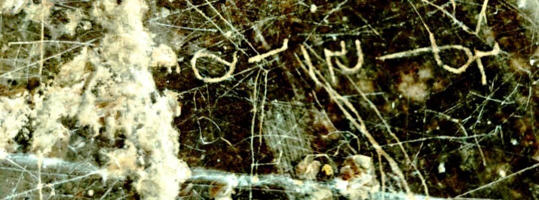 Sassanid-era inscription referring to royal festival discovered