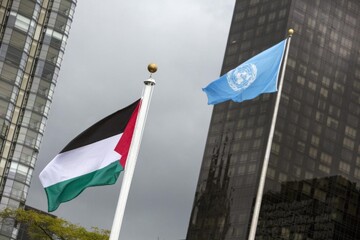 Palestine Flag UN