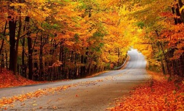 Golestan at a glance: forests, ancient monuments and Caspian landscapes