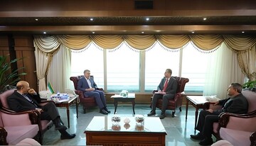 Newly appointed WHO representative meets health minister