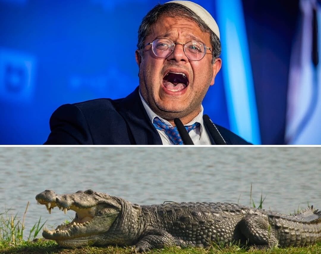 Ben-Gvir and a crocodile