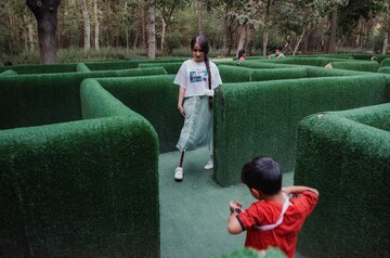 Iranian photographers honored in UNICEF’s 2025 Photo of the Year