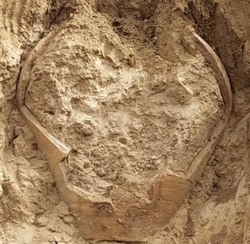 Sasanian-era pottery jar discovered in southern Iran