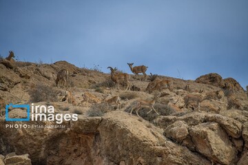 Three more sites added to national protected areas