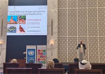 Iran attends regional workshop on Biodiversity Monitoring and National Reporting